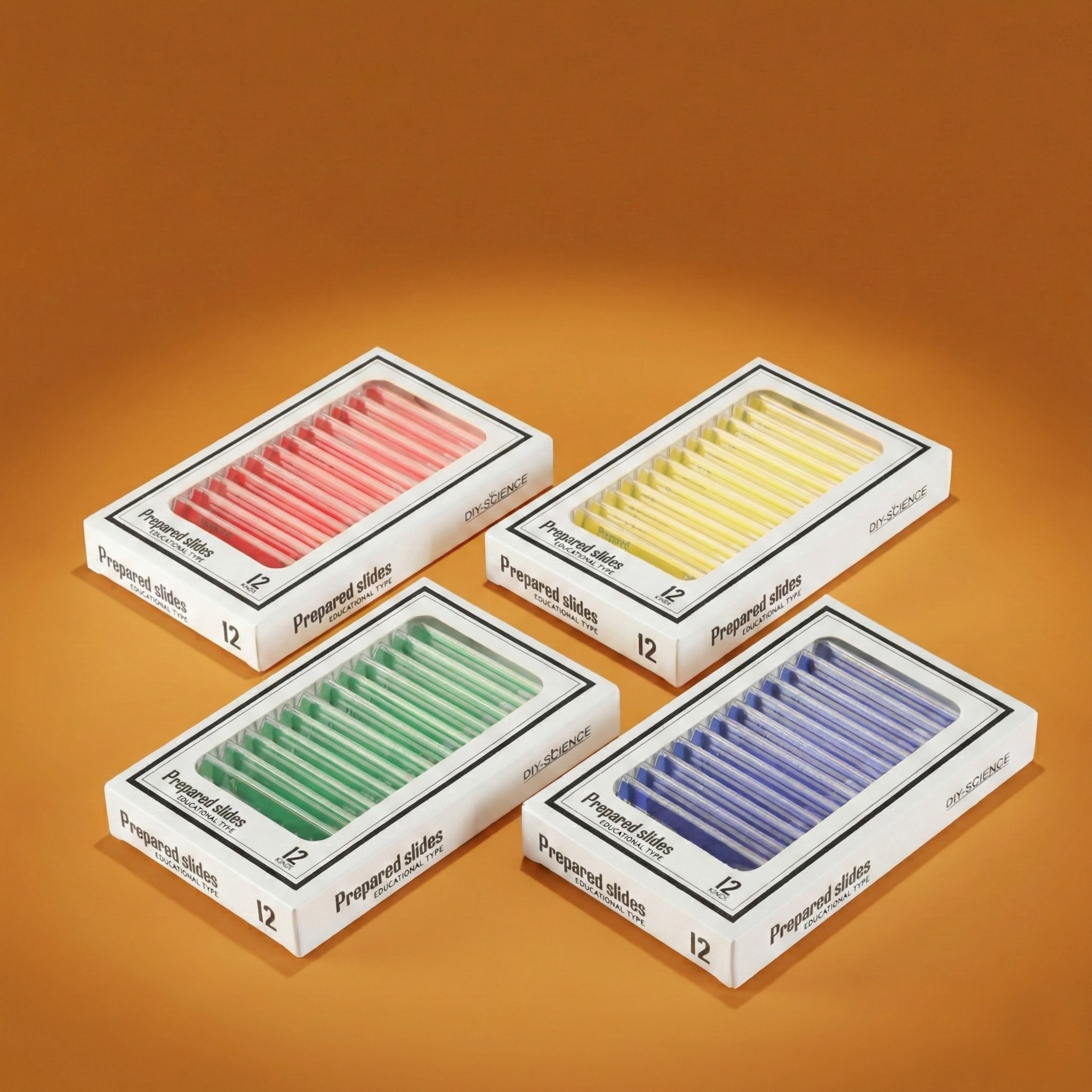 Discovery Slides (48 pcs)